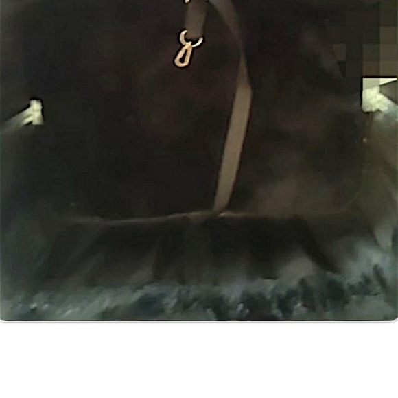 Puppy Carriers - Picture 6 of 13